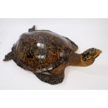 Realistically modelled hand-painted composite Turtle,
