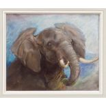Heywood Hardy (1842 - 1933), pastel - An African Elephant, 33cm x 40cm, in glazed oak frame.