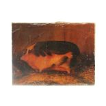 Early 19th century naive oil on canvas - a prize sow, unframed,