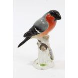 Late 19th century Meissen porcelain chaffinch with red, grey, black and white plumage,
