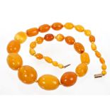 Old amber bead necklace with a string of thirty-one graduated oval butterscotch amber beads,