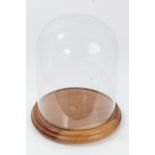 Glass dome on turned wooden stand, ideal for a taxidermy display,