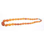 Old amber necklace with a string of thirty graduated oval butterscotch amber beads,