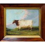 Mid-19th century English School oil on canvas - Prize Cow in landscape,