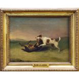 Samuel Alken (1756 - 1815), oil on canvas - two dogs fighting in a landscape, in gilt frame,