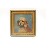 Adolphe Thomasse (1850 - 1930), oil on panel - a terrier, 'Ravaide', signed and inscribed,