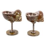 Pair late 19th / early 20th century silver mounted shell-shaped salts,