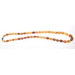 Amber bead necklace with graduated amber beads, length approximately 70cm.