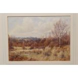 Noel Smith, Victorian watercolour - The Stour Valley,