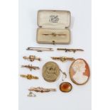 Collection of eleven Victorian and later brooches - to include a 19th century Italian carved lava