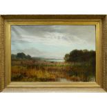 Late Victorian English School oil on canvas - duck in flight over the marshes, initialled - R.C.
