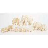 Impressive herd of twelve early 20th century Indian carved ivory elephants,