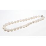 Cultured freshwater pearl necklace with a string of graduated cultured freshwater pearls measuring