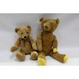 Teddy Bears - one large vintage,