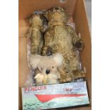 Old Teddy Bear - blond mohair, clear glass eyes, vertically-stitched nose, shaved snout, small hump,