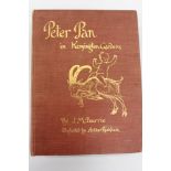 Book - Peter Pan in Kensington Gardens by J. M.