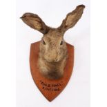 1920s Hare mask on shield - 'Dale Hall',