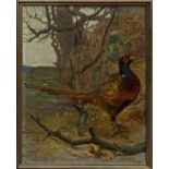 Johan Berens (1848-1925) oil on canvas - Cock Pheasant in Woodland, in gilt frame,