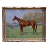 Karl Volkers (1868-1944) oil on canvas - a race horse in a paddock, Orchidee II, signed,