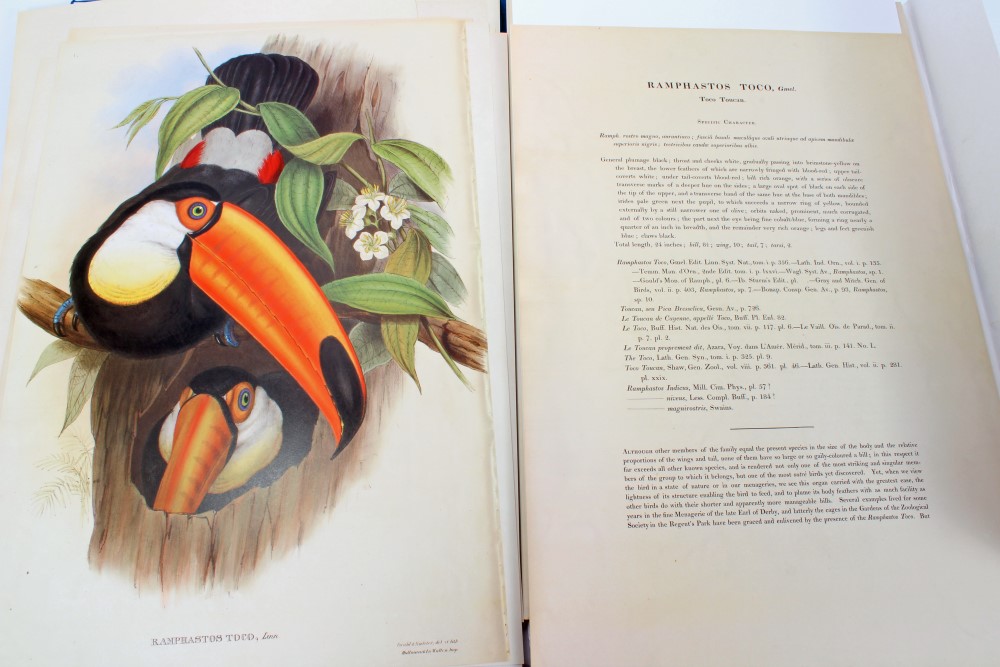 Two volumes, John Gould, - Image 6 of 6