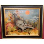 Duffy Ayres (born 1915), oil on canvas - 'County Pigeon', signed, 38cm x 49cm,