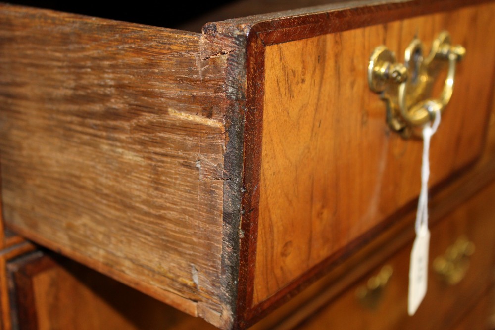 Early Eighteenth century walnut and feather-banded chest of three short and three long graduated - Image 2 of 5