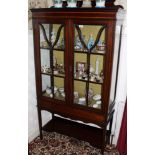 Edwardian inlaid mahogany display cabinet with ledge back above twin astragal glazed doors with