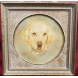 Mabel Gear (1900 - 1997), watercolour - portrait of a Golden Retriever, tondo, signed,