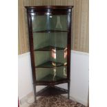Edwardian Chippendale revival mahogany serpentine fronted standing corner cupboard with