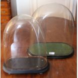 Two Victorian glass domes on oval ebonised bases CONDITION REPORT Tallest dome 36cm