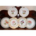 Pair of nineteenth century Davenport porcelain botanical plates,