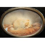 Early nineteenth century English school portrait miniature watercolour of a dog named Fairy,