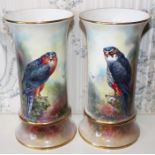 Pair of Coalport limited edition spill vases hand-painted with Peregrine Falcons by Richard Budd,