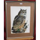 Kenneth Smith, watercolour - Eagle Owl With Prey, signed, in glazed gilt frame, 49cm x 35cm.
