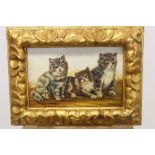 Jules Leroy (1856 - 1921), oil on panel - study of three kittens, signed, in gilt frame,