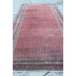 Eastern rug with salmon pink field and allover boteh ornament multiple borders,