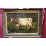Late 19th century Naive oil on canvas - portrait of a cow, indistinctly signed and dated,