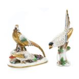 20th century Continental porcelain group of two golden pheasants, 13cm and another figure of a bird,