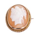 Antique carved shell cameo depicting a classical female bust,