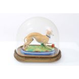 19th century Continental bisque porcelain greyhound figure, 19cm, presented under glass dome,