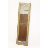 19th century gilt gesso pier mirror, the narrow rectangular twin plates in bead-moulded frame,