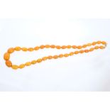 Old amber bead necklace with a string of graduated 'butterscotch' amber beads measuring