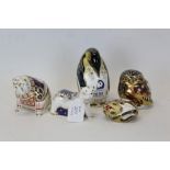 Five Royal Crown Derby paperweights - Polar Bear Cub Standing, Owl, Penguin, Bulldog and Dormouse,