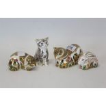 Four Royal Crown Derby paperweights - 'Lavender' Kitten, 'Clover' Cat,