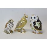 Three Royal Crown Derby paperweights - Citron Cockatoo, Twilight Owl and Song Thrush,