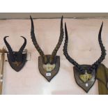 Three pairs of shield mounted antelope horns