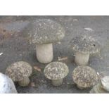 Five garden mushrooms - various sizes