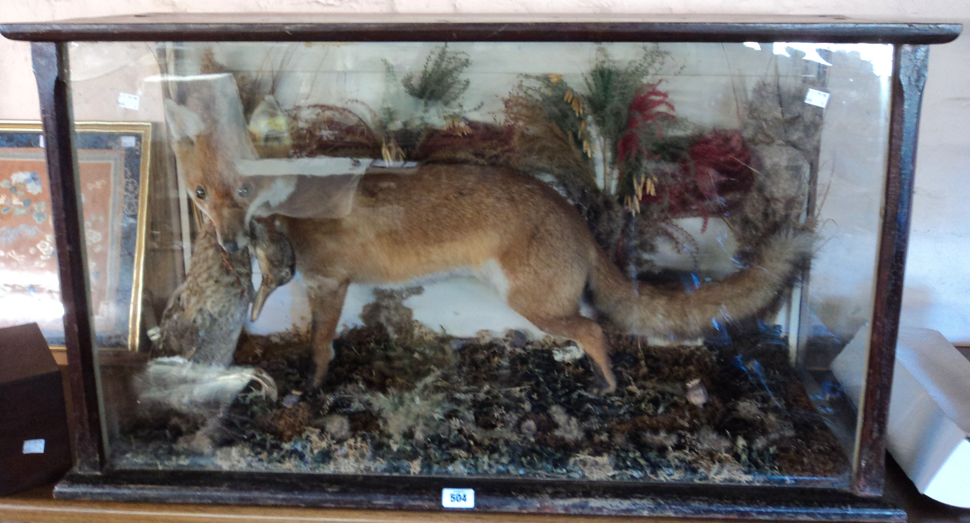 A 3' 4" antique display case containing a taxidermy study of a stuffed and mounted fox with duck