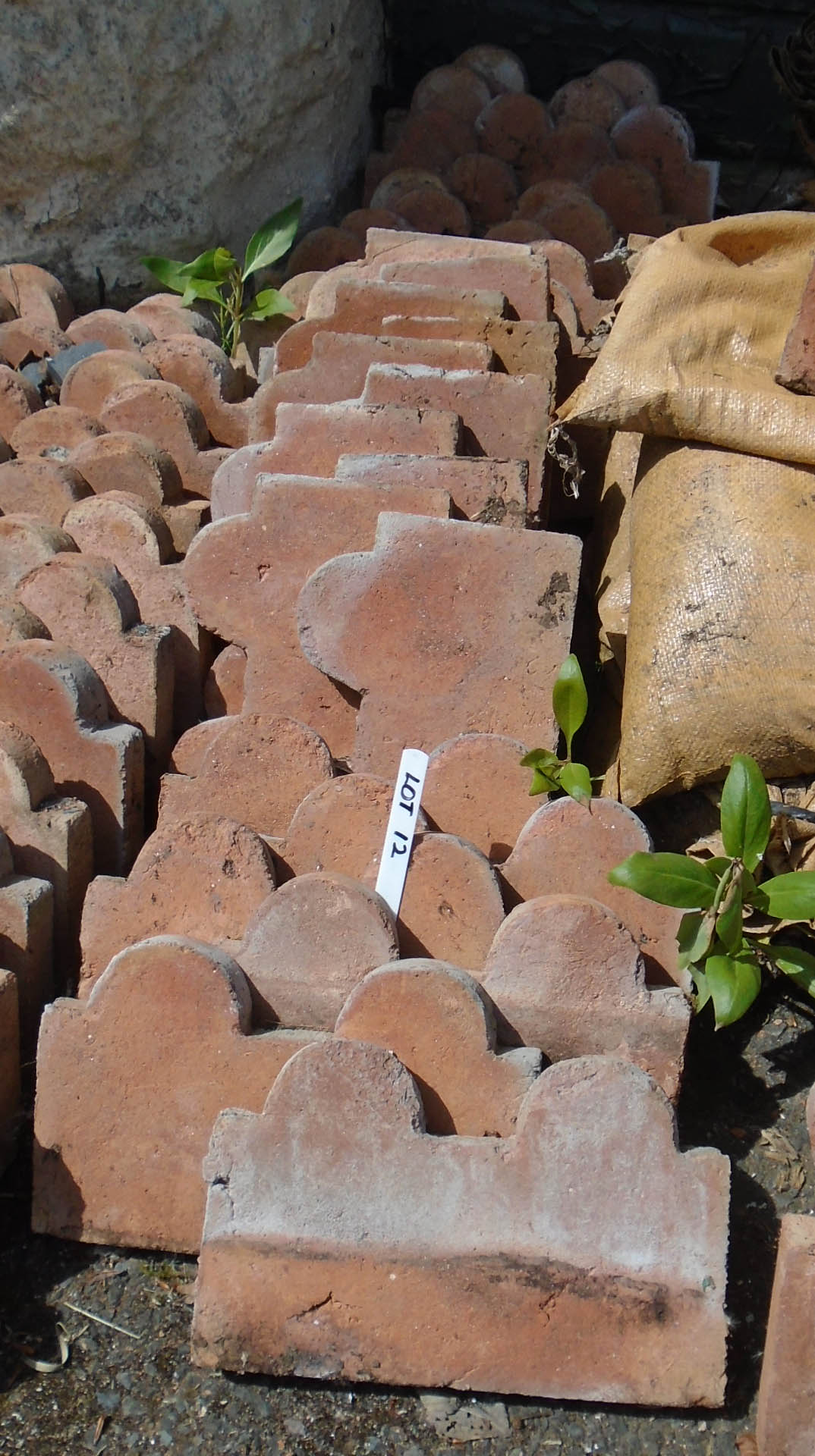 Thirty terracotta twin dome top edging tiles