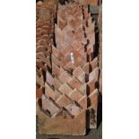 Thirty terracotta crown top edging tiles